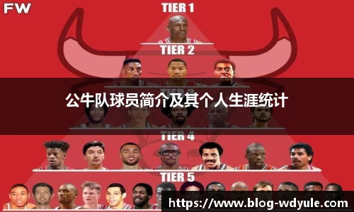 公牛队球员简介及其个人生涯统计