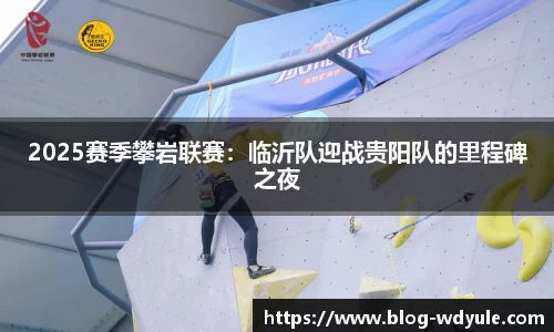 2025赛季攀岩联赛：临沂队迎战贵阳队的里程碑之夜